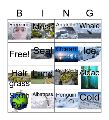 ANTARCTIC Bingo Card