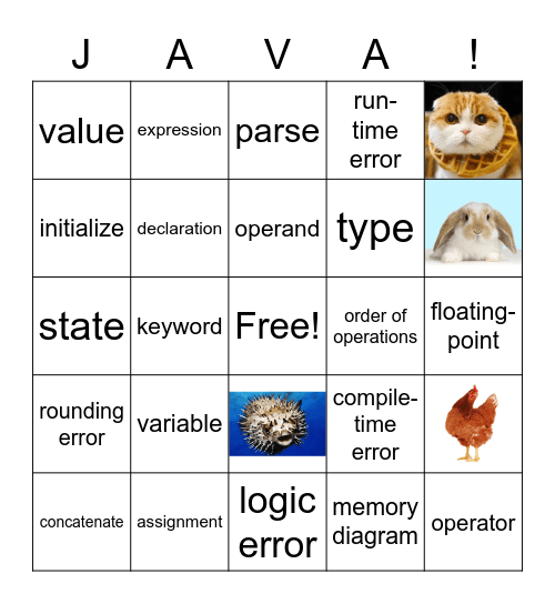 Think Java Chapter 2 Bingo Card
