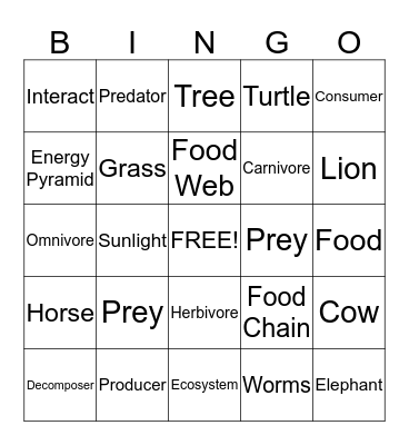 Living Things Depend on One Another Bingo Card