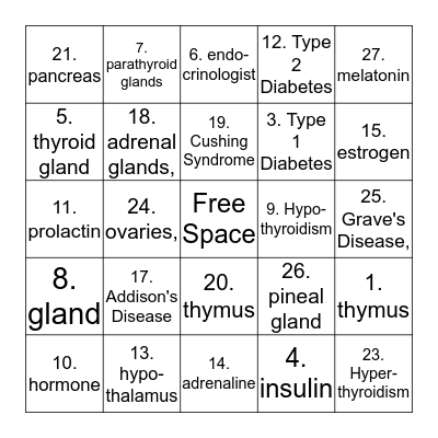 Endocrine System Bingo Card