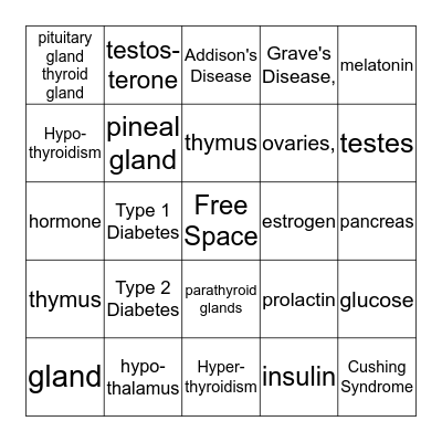 Endocrine System Bingo Card