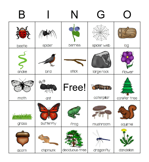 Nature NEW Bingo Card