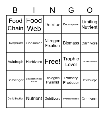 Chapter 4 Ecosystems Bingo Card