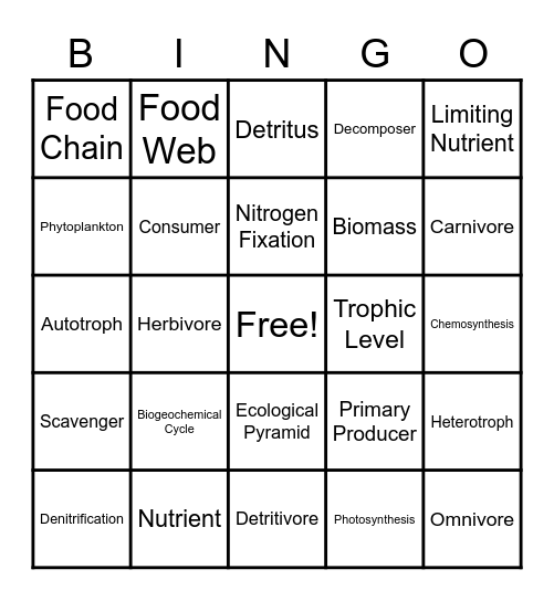 Chapter 4 Ecosystems Bingo Card