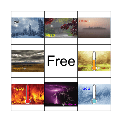 Weather Words Bingo Card