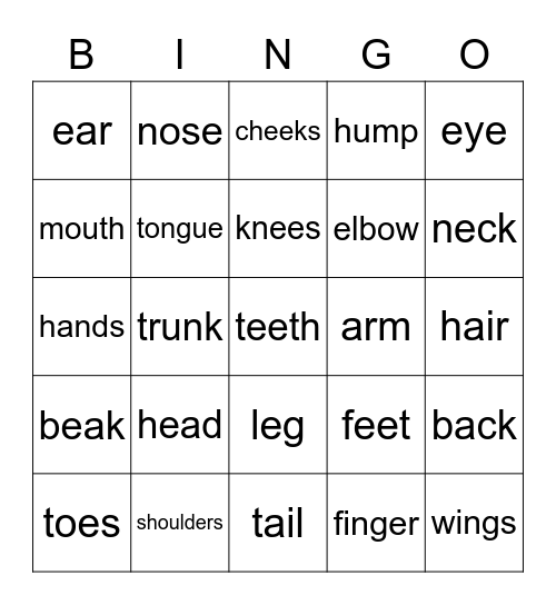 G6 Body Parts Bingo Card