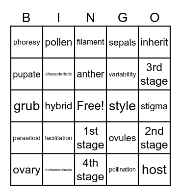 Chapter 2 Review Bingo Card