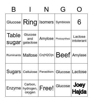 Biology Lesson 3 Bingo Card