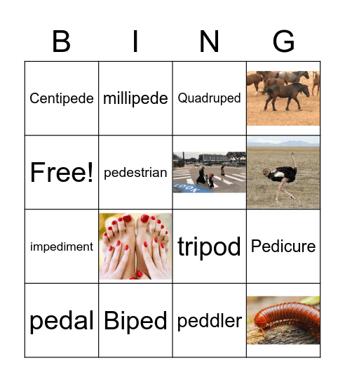 PED Words Bingo Card