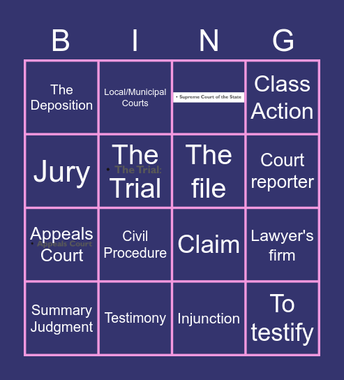 The Court System Bingo Card