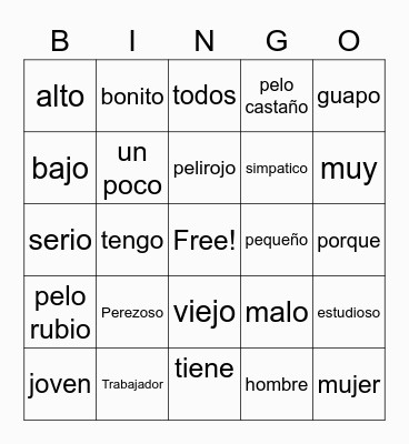 Spanish 1- Adjectives Bingo Card