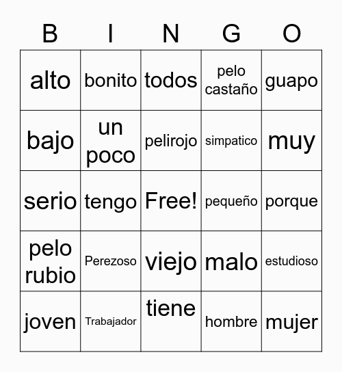 Spanish 1- Adjectives Bingo Card