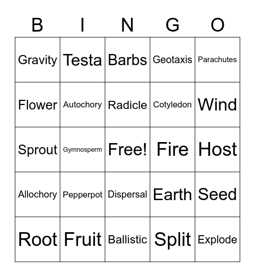 Seed Bingo Card