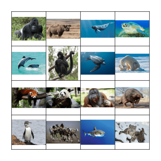 Endangered Animals Bingo Card