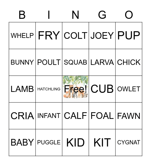 Baby Animal Bingo! Bingo Card