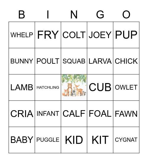 Baby Animal Bingo! Bingo Card