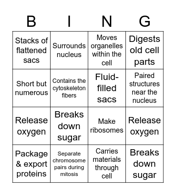 Cell Structure Bingo Card