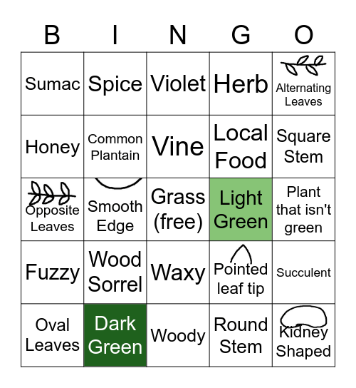 Forage Culture - Plant Blindness Bingo Card