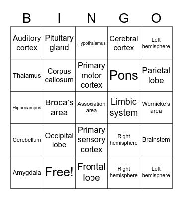 AP Psych Unit 3 Review - Biology of the Brain Bingo Card