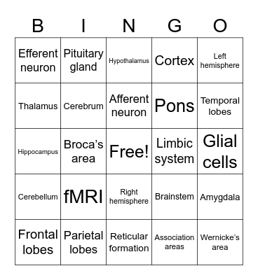 AP Psych Unit 3 Review - Biology of the Brain Bingo Card