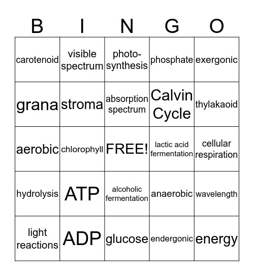 Cellular Respiration and Photosynthesis Bingo Card