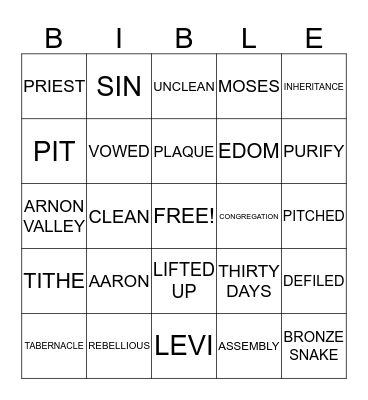 BIBLE BINGO Card