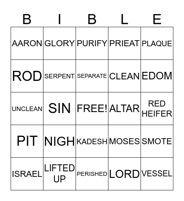 BIBLE BINGO Card