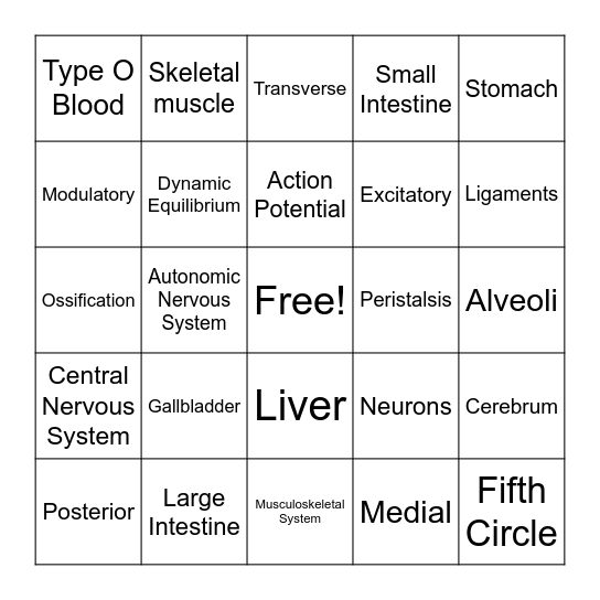 Human Body Systems Bingo Card