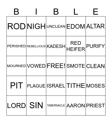 BIBLE BINGO Card