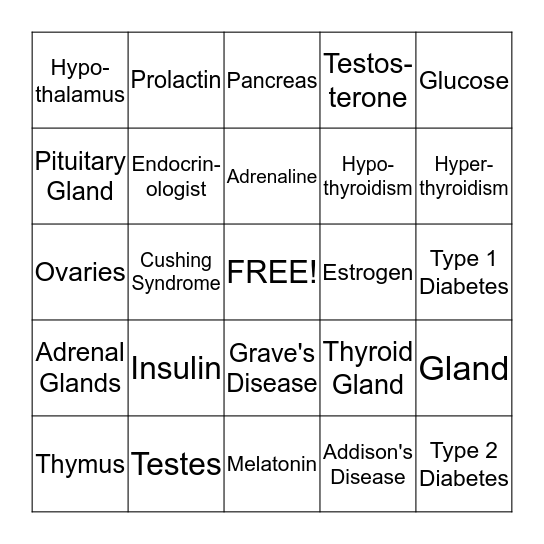 The Endocrine System Bingo Card