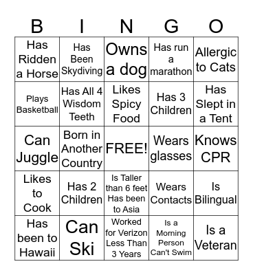 Icebreaker Bingo Card
