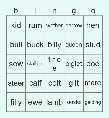 rachel schaefer: animal lingo Bingo Card