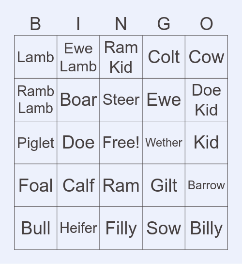 Zola Viles Animal Lingo Bingo Card