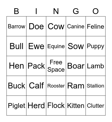 Connor's Ag. Lingo Bingo Card