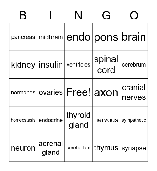 Endocrine and Nervous System Bingo Card