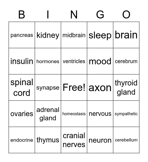 Endocrine and Nervous System Bingo Card