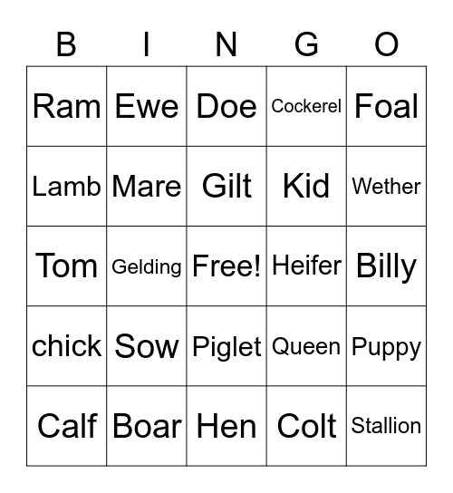 Naomi, Animal Lingo Bingo Card