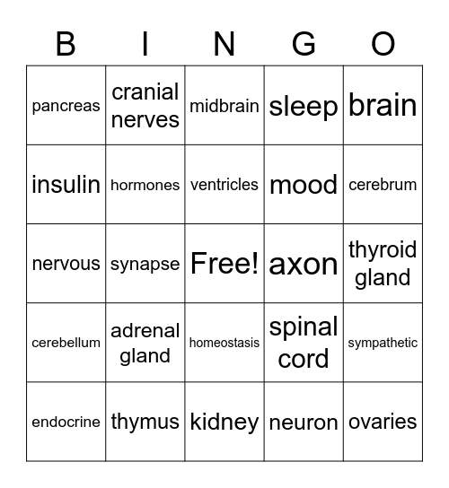 Endocrine and Nervous System Bingo Card