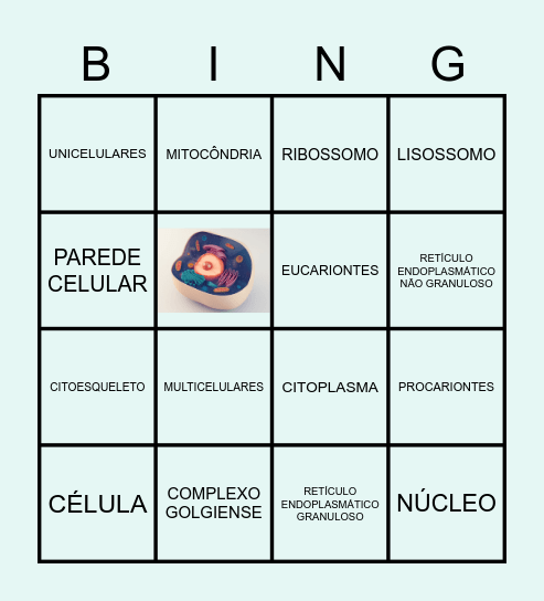 BINGO CELULAR Bingo Card