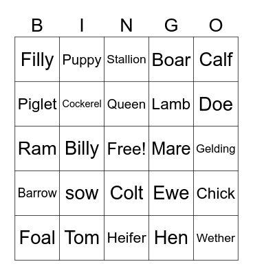 Naomi, Animal Lingo Bingo Card