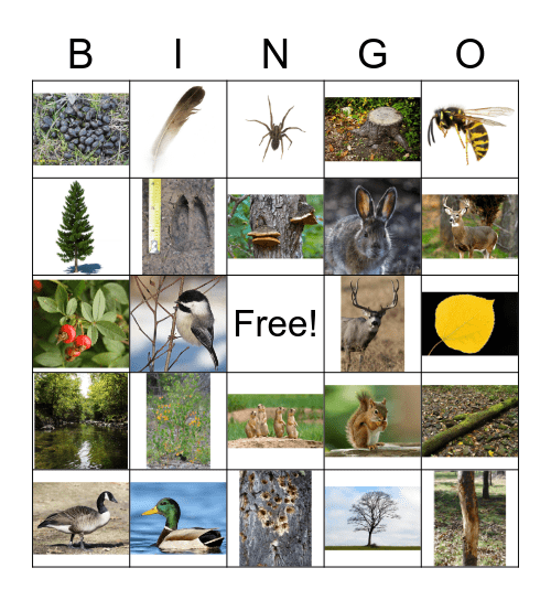 Fall Outdoor Bingo Card