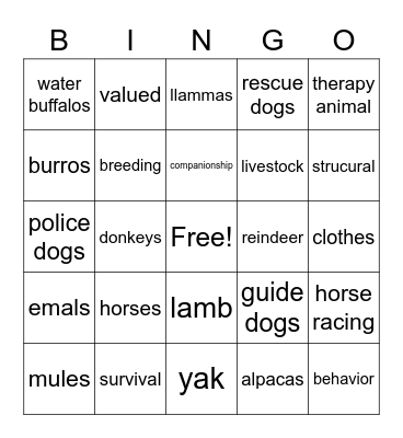 domesticated animals Bingo Card