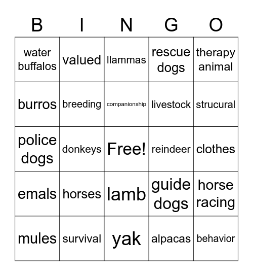 domesticated animals Bingo Card