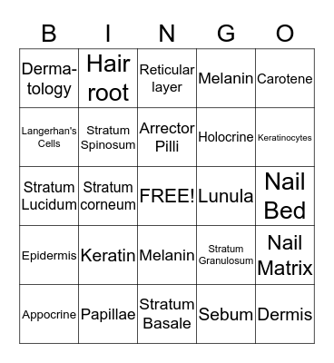 Integumentary System Bingo Card