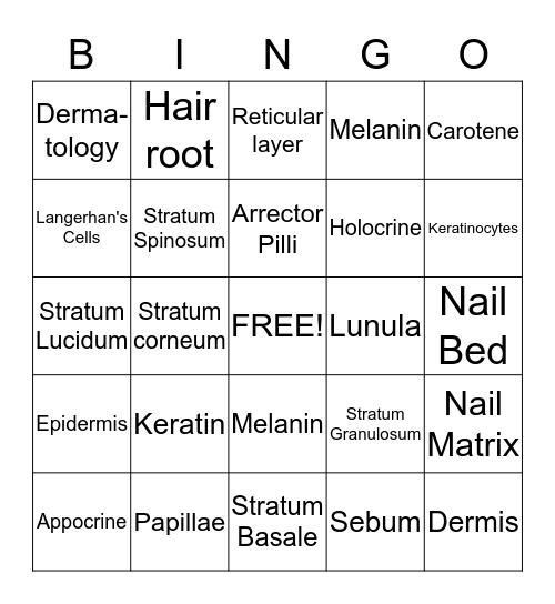 Integumentary System Bingo Card