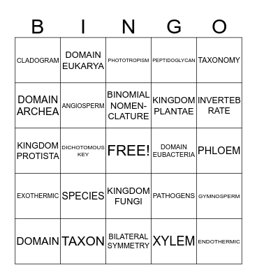 VOCABULARY BINGO Card