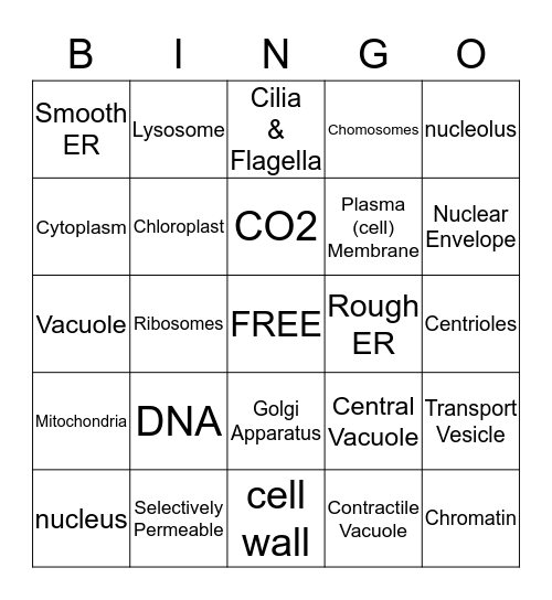 Cell Organelles Bingo Card