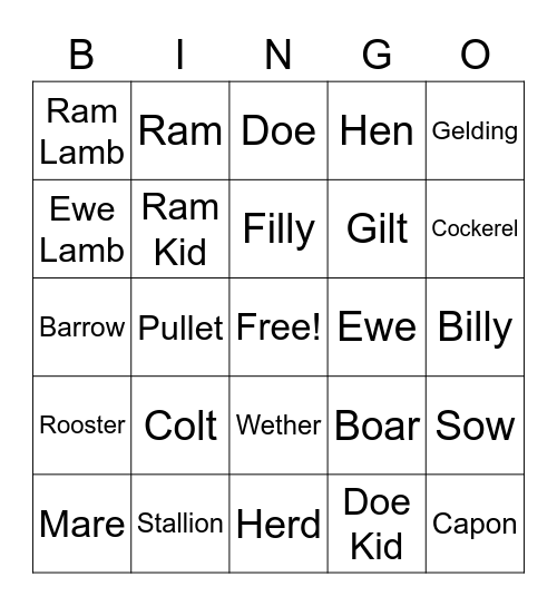 Ethan Long Animal Lingo Bingo Card
