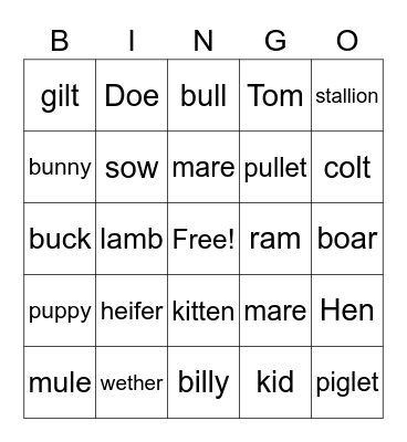 Kendall's animal Bingo Card
