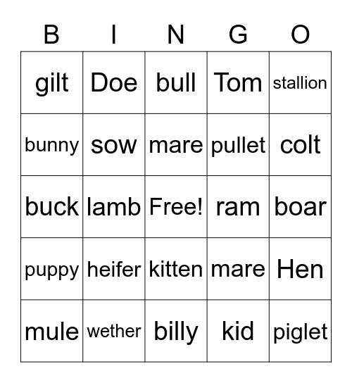 Kendall's animal Bingo Card